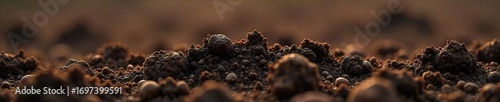 Rich Dark Brown Soil Texture Close-Up Ideal for Gardening, Agriculture, and Environmental Projects.  Showcasing Natural Earth Detail with Small Pebbles and Organic Matter.