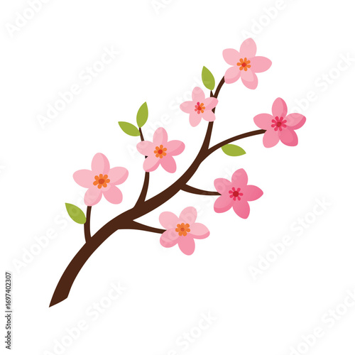 pink cherry blossom