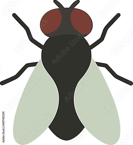 Simple Flat Design Fly Insect Illustration Graphic Isolated on White