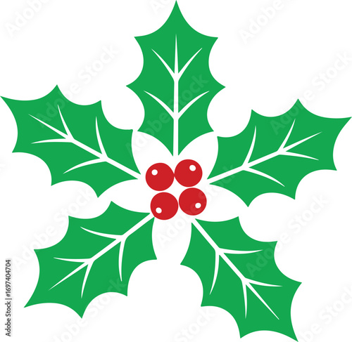 Black silhouette of holly branch. Vector illustration