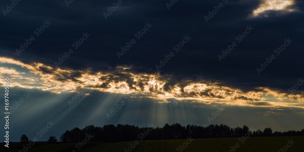 Fototapeta premium Sunlight streams through clouds, illuminating a serene forest landscape with dramatic flair.