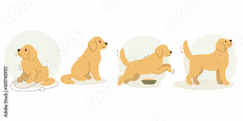 Golden retriever dog poses showing different activities like sitting playing eating and standing