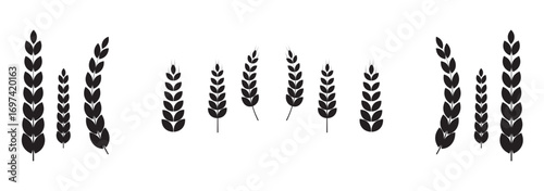 Agriculture wheat icon set, Organic wheat, bread agriculture and natural eat, rice isolated on white background, vector illustration. Grain, bread, nutrition, natural product, and eco-friendly design.