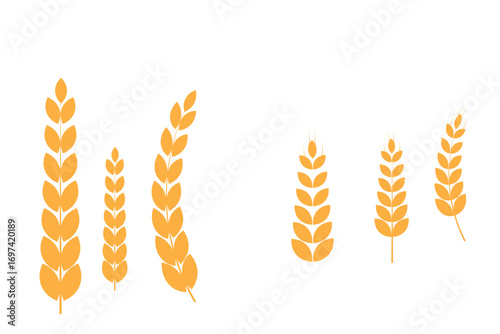 Wheat icons set. Grain, spikelet and wreath. Organic wheat, bread agriculture and natural eat, rice isolated on white background. Wheat ears icon set. Wheat logo. Grain spikes set icons. Grain icon. 