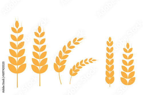 Wheat icons set. Grain, spikelet and wreath. Organic wheat, bread agriculture and natural eat, rice isolated on white background. Wheat ears icon set. Wheat logo. Grain spikes set icons. Grain icon. 