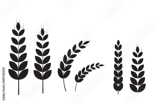 Agriculture wheat icon set, Organic wheat, bread agriculture and natural eat, rice isolated on white background, vector illustration. Grain, bread, nutrition, natural product, and eco-friendly design.