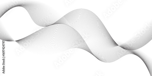 Abstract vector background with black wavy lines. EPS10