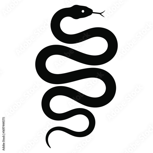 snake vector illustration