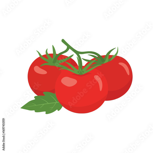Fresh ripe red tomatoes on vine healthy ingredient for cooking and salads vector