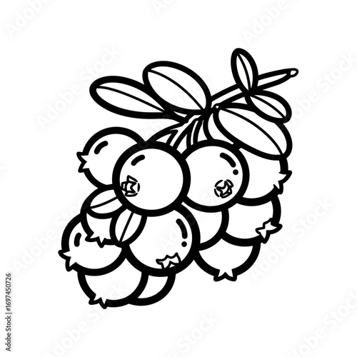 vector illustration of fruits