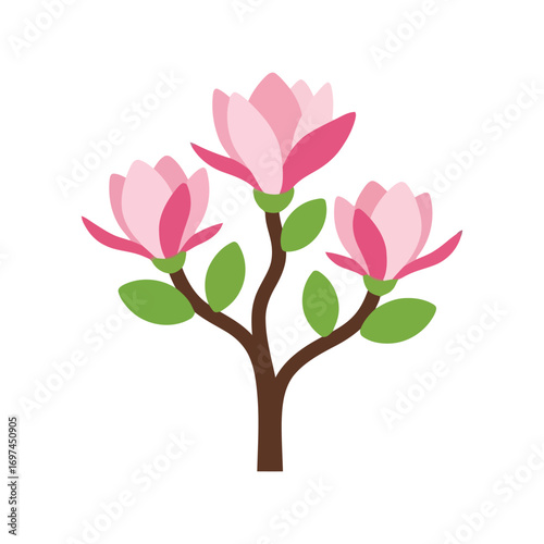 Delicate pink magnolia flowers spring blossom tree vector illustration simple nature vector