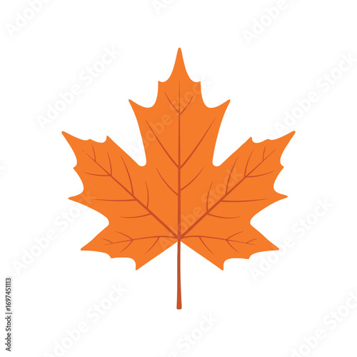Vibrant orange maple leaf isolated on white autumn foliage seasonality symbol nature vector