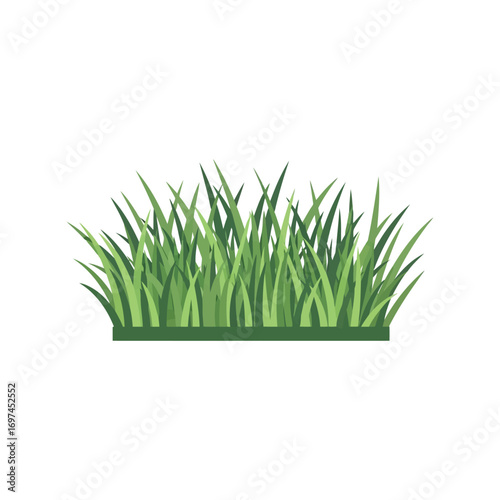 Lush green grass blades growing field nature plant organic fresh environment lawn vector