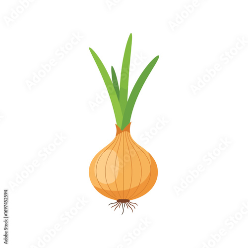 Fresh whole yellow onion with green sprouts growing root vegetable ingredient healthy cooking food isolated vector