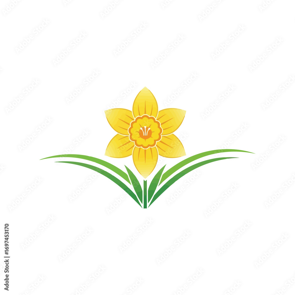Naklejka premium Vibrant yellow daffodil flower with green leaves spring floral symbol isolated on white vector