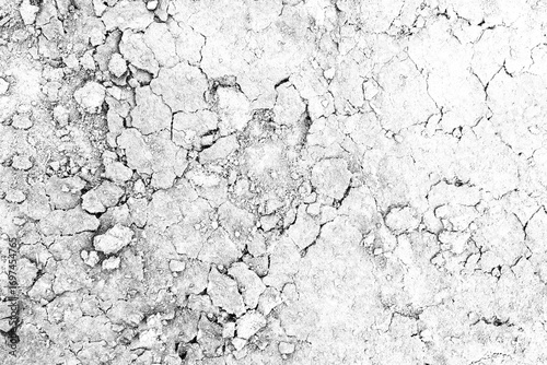cracked soil texture background transparent