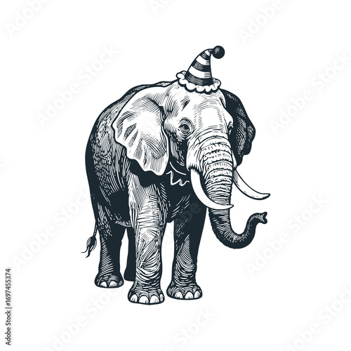 Elephant looks like a clown – Black and White Icon Vector and Illustration