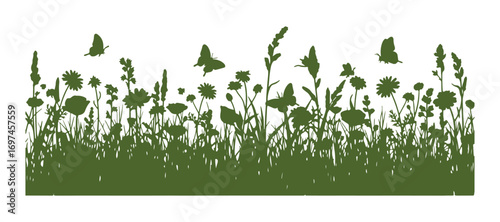 Silhouettes of wildflowers and butterflies. A floral field in spring or summer. Vector art.