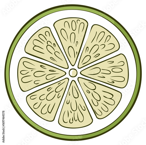 Illustration of a sliced green lime with detailed segments and refreshing juice droplets