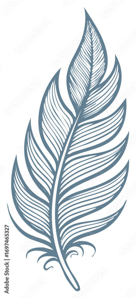 Fototapeta premium Elegant Feather Illustration Intricate Lines Delicate Design Simple Style Isolated Art