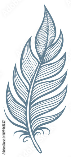 Elegant Feather Illustration Intricate Lines Delicate Design Simple Style Isolated Art