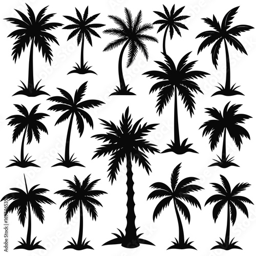 Minimalistic Tropical Palm-Tree Silhouette Vector Set