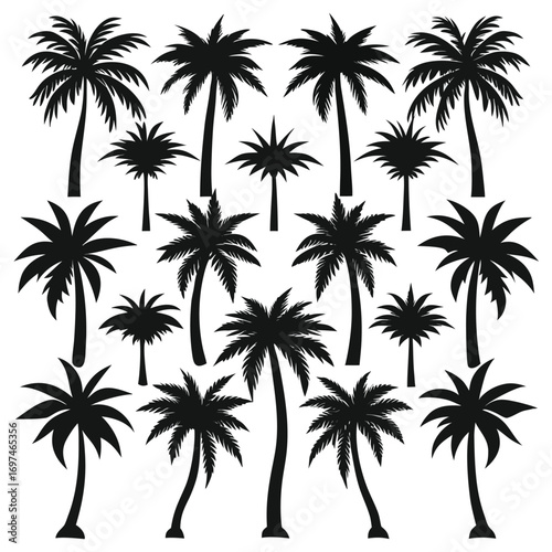 Minimalistic Tropical Palm-Tree Silhouette Vector Set