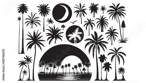 palm trees silhouettes