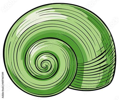 Stylized Green Seashell Illustration with Spiral Pattern and Shading