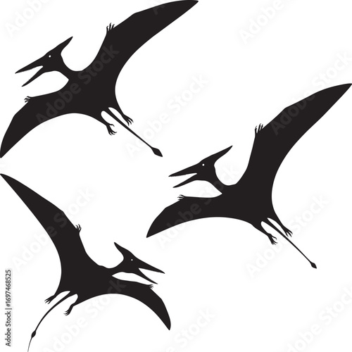 Three flying pterodactyl silhouettes vector trending microstock