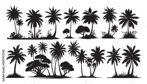 palm trees silhouettes