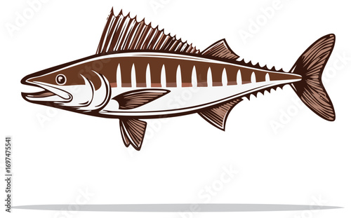 Barracuda Fish Illustration with Striped Body in Vector Format