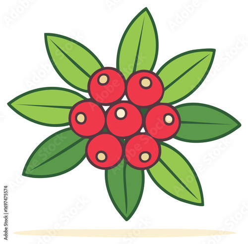 Cartoon holly berry sprig with red fruit and green leaves vector icon for winter holiday decoration