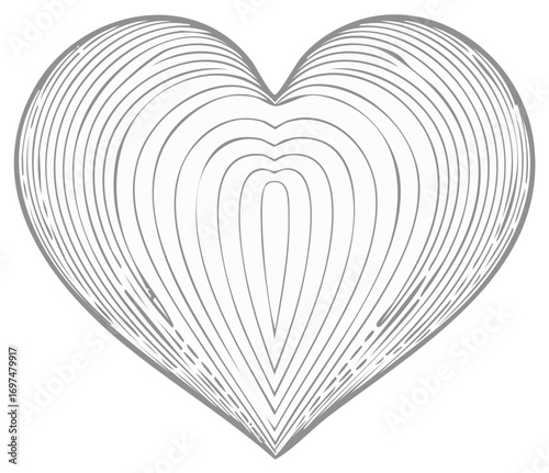 Sketchy heart illustration with layered contour lines in an engraved style