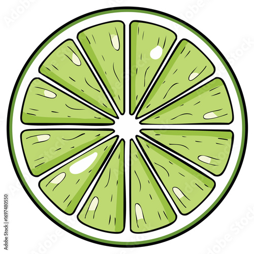 Vibrant illustration of a lime slice with distinct segments and juicy pulp detail.