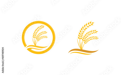 Agriculture Farm wheat rice vector illustration design v3.1
