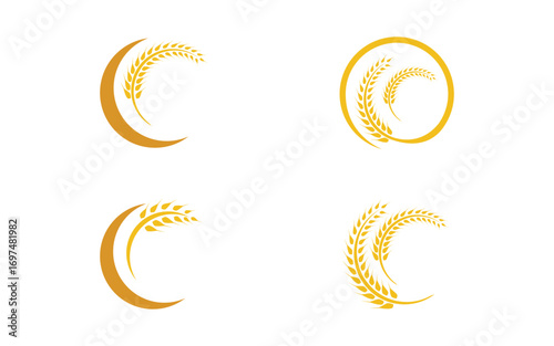 Agriculture Farm wheat rice vector illustration design v3.2