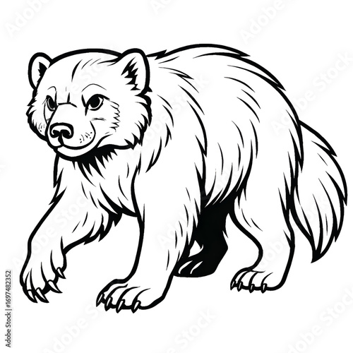 A wolverine illustration vector style coloring page