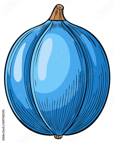 Stylized light blue onion with lines in a simple cartoon vector illustration, suitable for graphics, recipes and food illustrations