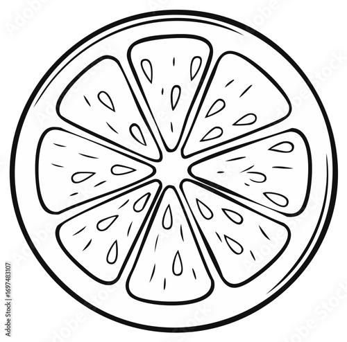 Hand-drawn line art illustration of a halved citrus fruit slice with vesicles