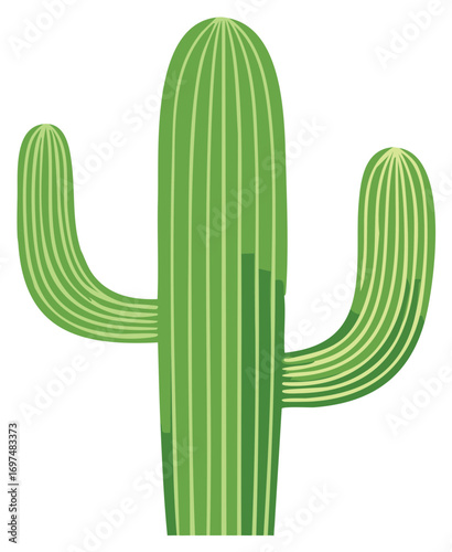 Green saguaro cactus illustration in vector, desert plant with stripes.