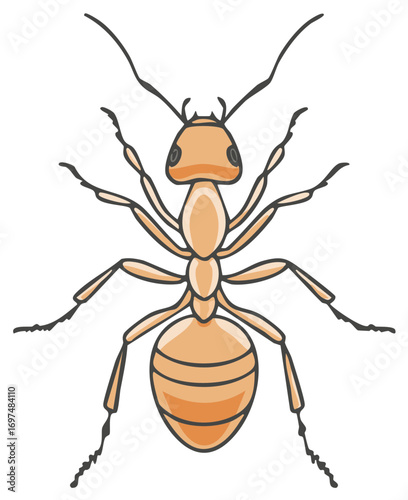 Illustration of a Single Ant with Detailed Body and Antennae Features, Showing Exoskeleton and Segmentation