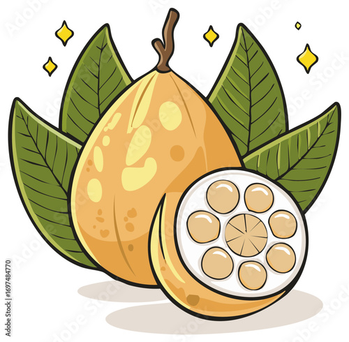 Illustration of a fruit with sliced cross section and green leaves, stylized design.