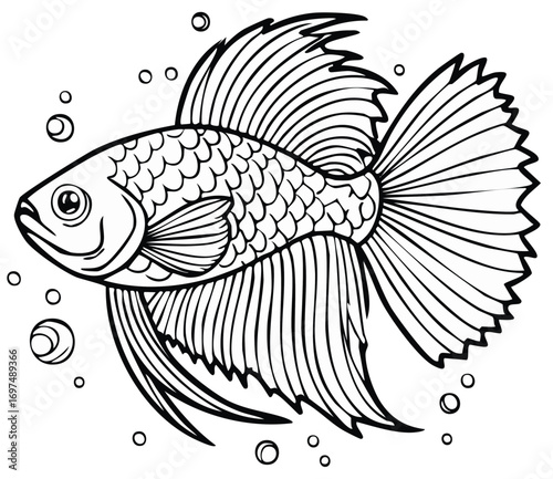 Detailed vector illustration of a Betta fish swimming with bubbles.