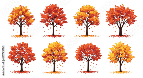 Collection of beautiful autumn trees with falling leaves in vibrant fall colors