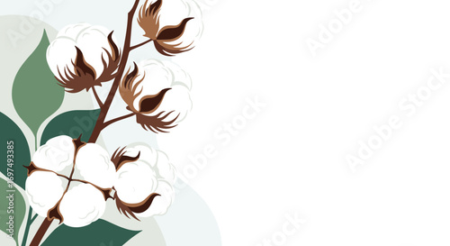 Botanical illustration of cotton bolls with verdant leaves a gentle natural texture on a white background