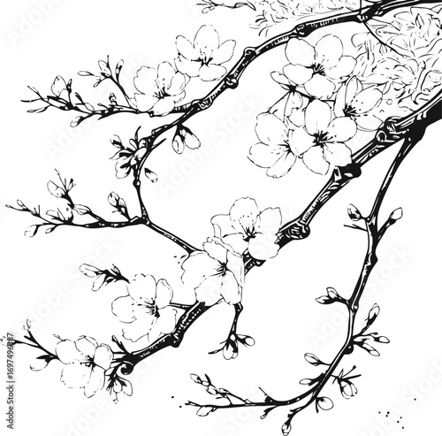 Branch with cherry blossoms, petals and stems in bold black line art style 1