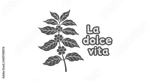 Monochrome image of a coffee plant branch with berries, and the words 'La dolce vita'.