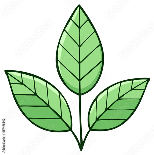 Illustration of fresh green leaves with veins, a simple design for logos and decoration.