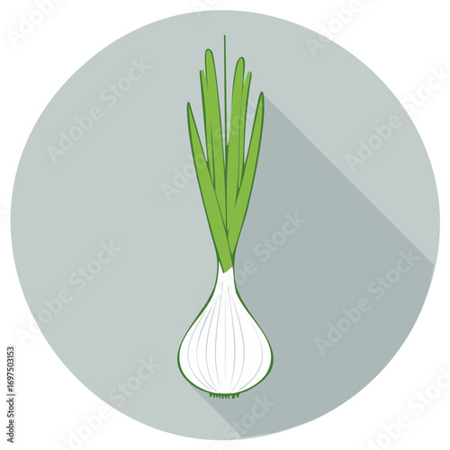 Green Onion Vegetable Illustration Flat Design Long Shadow Round Icon